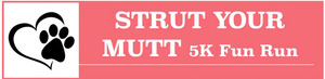 Strut