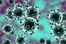 ISBE - Guidance for Schools on Coronavirus