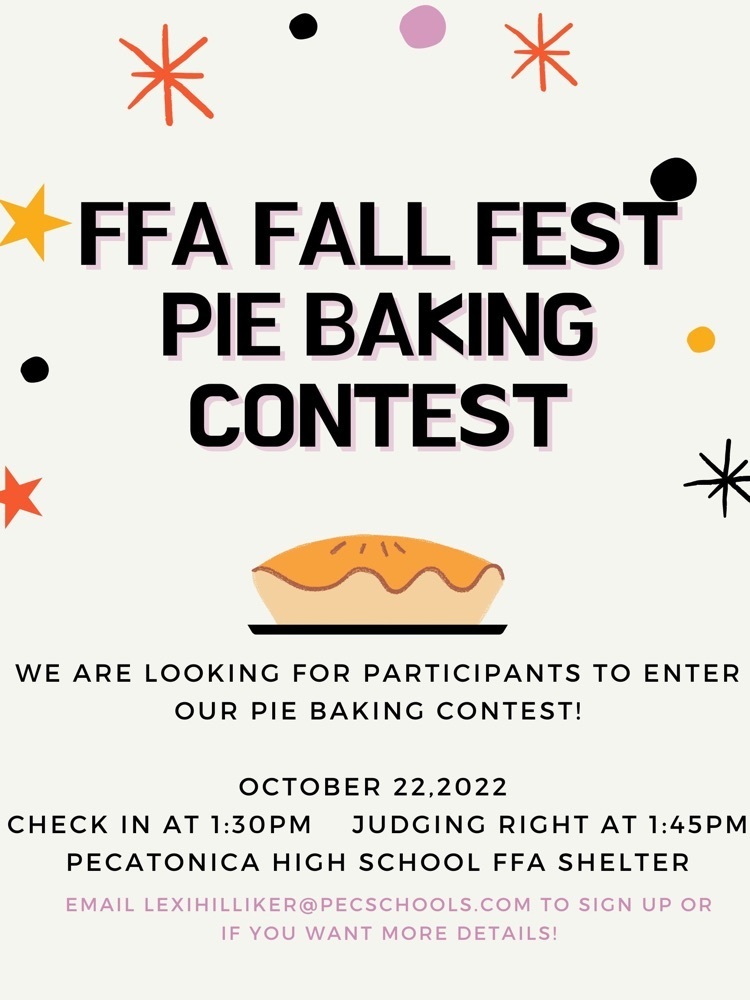Pie baking contest!
